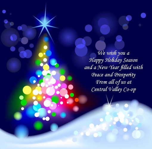 christmas photo1