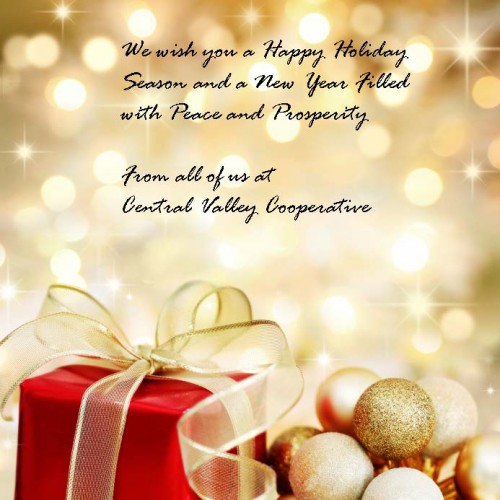 holiday2